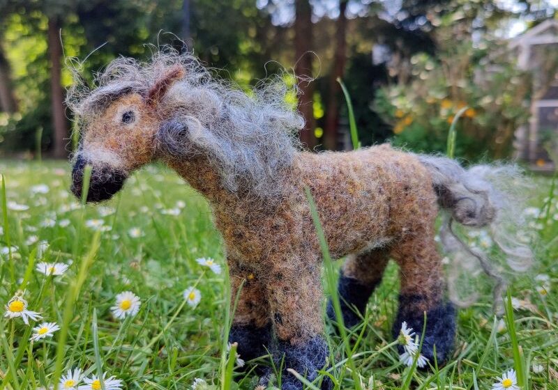 kinderjugendliche_pferd